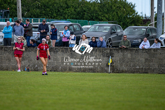 20240616 - Louth v Limerick (TG4 All Ireland JFC) - 202406161352108800