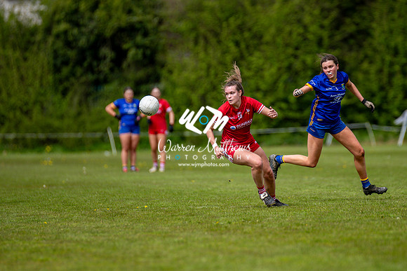 20240427 - Wicklow v Louth (Leinster LGFA Minor C Championship) - 202404271421350500