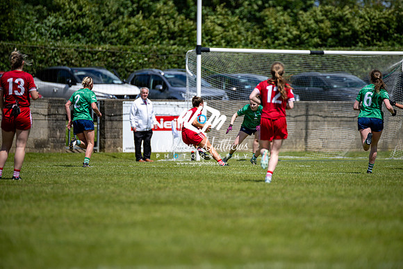 20240616 - Louth v Limerick (TG4 All Ireland JFC) - 202406161407415900