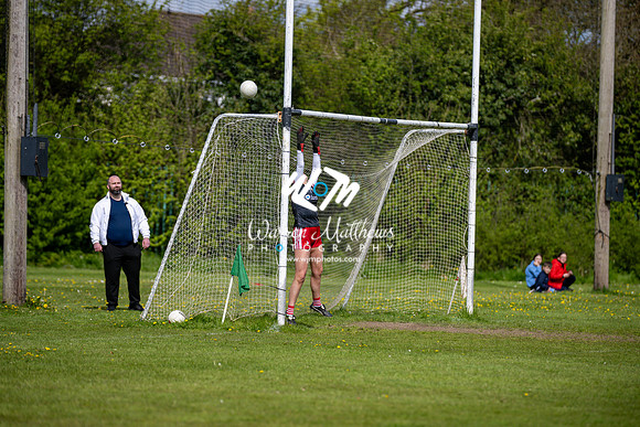 20240427 - Wicklow v Louth (Leinster LGFA Minor C Championship) - 202404271533303300