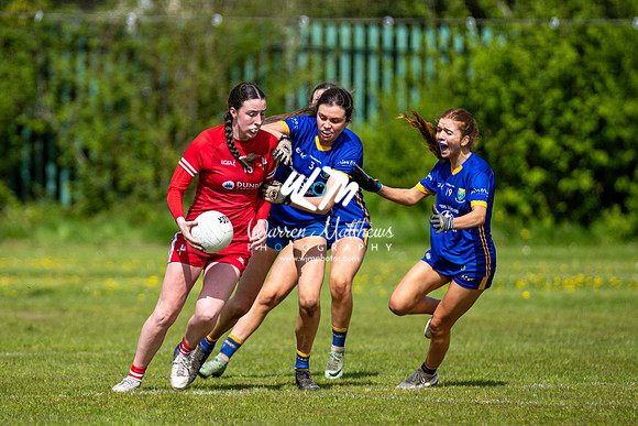 20240427 - Wicklow v Louth (Leinster LGFA Minor C Championship) - 202404271454143200