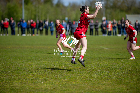 20240427 - Wicklow v Louth (Leinster LGFA Minor C Championship) - 202404271449575600