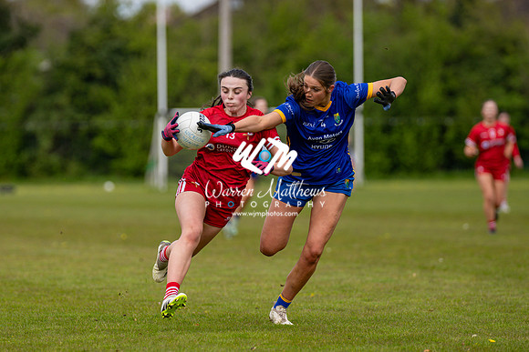 20240427 - Wicklow v Louth (Leinster LGFA Minor C Championship) - 202404271407033900