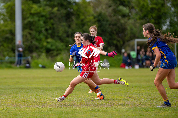 20240427 - Wicklow v Louth (Leinster LGFA Minor C Championship) - 202404271418285500