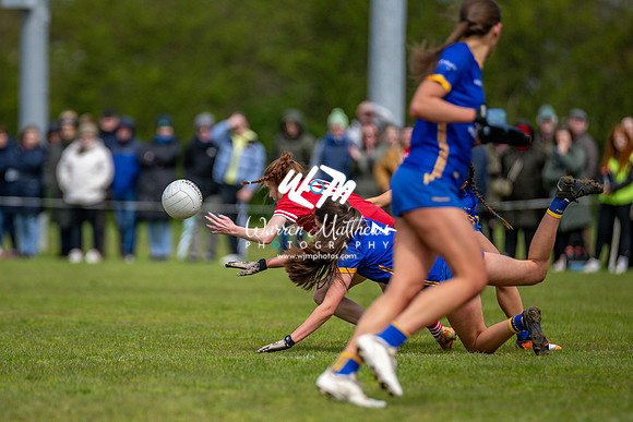 20240427 - Wicklow v Louth (Leinster LGFA Minor C Championship) - 202404271412096900
