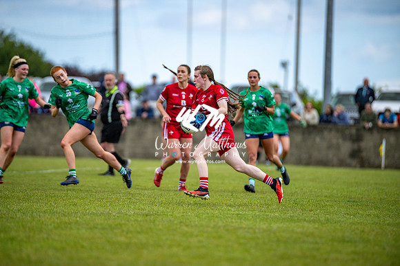 20240616 - Louth v Limerick (TG4 All Ireland JFC) - 202406161419527700