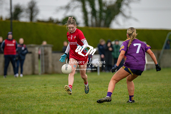 Louth v Wexford (Minor round 2) - 202503221426319000