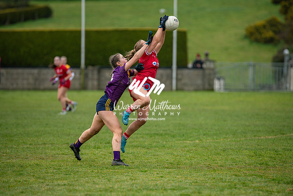 Louth v Wexford (Minor round 2) - 202503221455240200