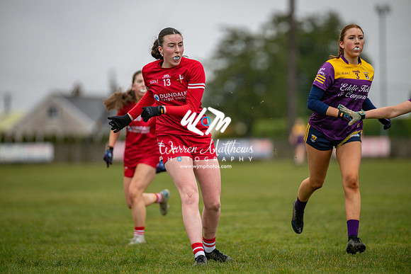 Louth v Wexford (Minor round 2) - 202503221407188400