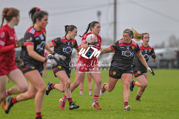 20240316 - Down v Louth (NFL Div 3 Round 6) - 202403171432380300