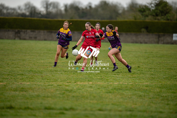 Louth v Wexford (Minor round 2) - 202503221509237900