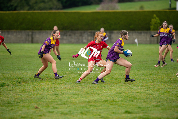 Louth v Wexford (Minor round 2) - 202503221454299400