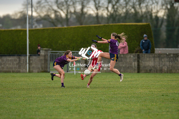 Louth v Wexford (Minor round 2) - 202503221516125800