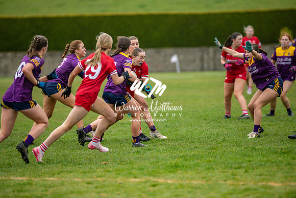 Louth v Wexford (Minor round 2) - 202503221458299000
