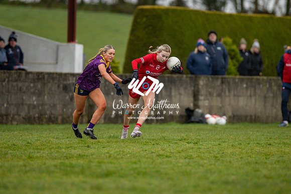 Louth v Wexford (Minor round 2) - 202503221430448000