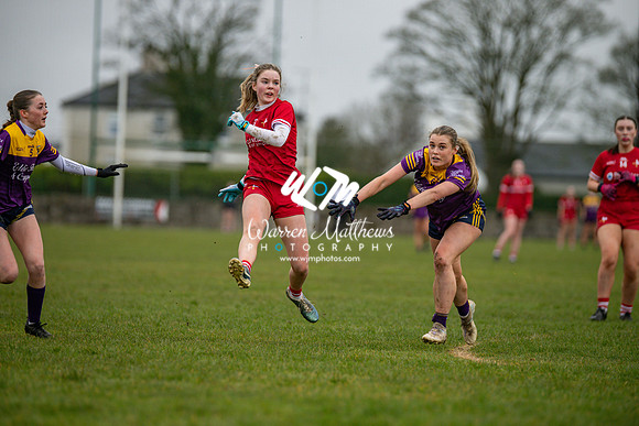 Louth v Wexford (Minor round 2) - 202503221432418200