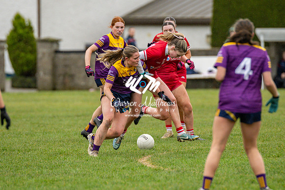 Louth v Wexford (Minor round 2) - 202503221500151200