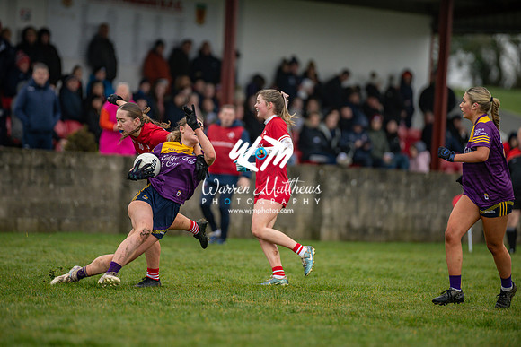 Louth v Wexford (Minor round 2) - 202503221421259900