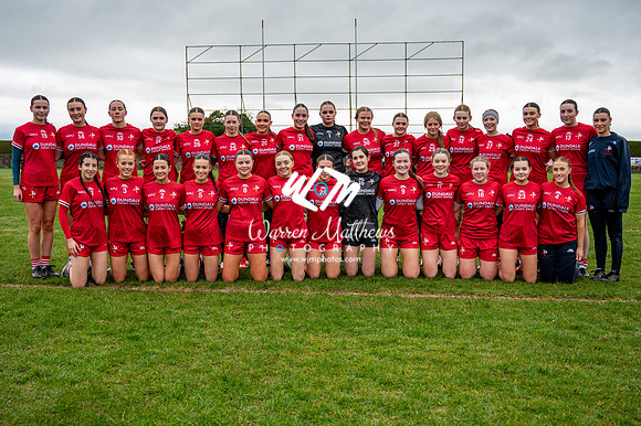 Louth v Wexford (Minor round 2) - 202503221356514600