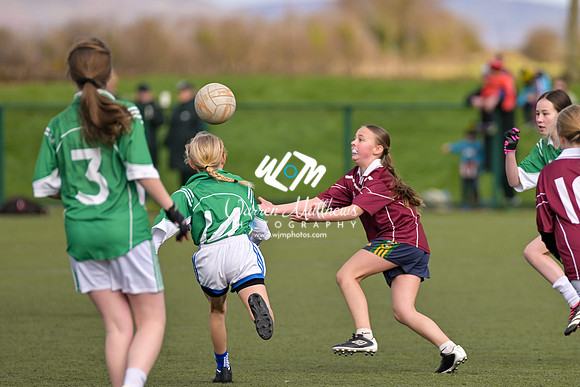 20240303 - Louth vs Clare (NFL Round 5) - 202403031445517400