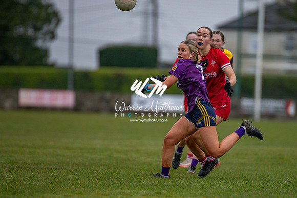 Louth v Wexford (Minor round 2) - 202503221404020000