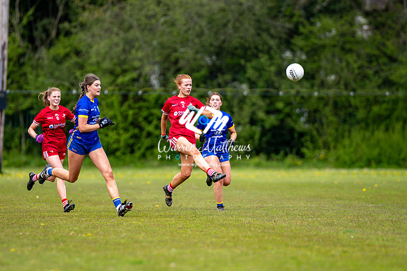 20240427 - Wicklow v Louth (Leinster LGFA Minor C Championship) - 202404271408387600