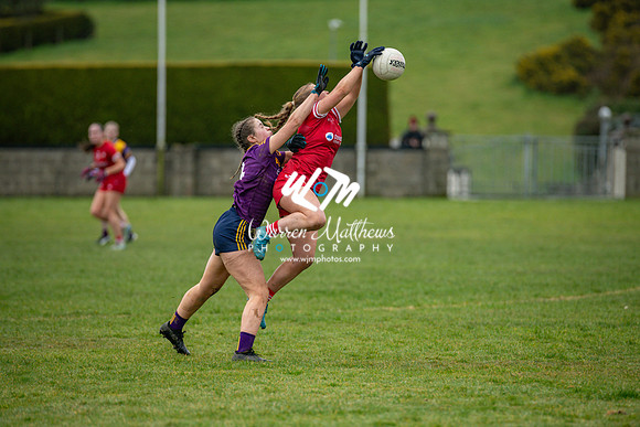 Louth v Wexford (Minor round 2) - 202503221455240700