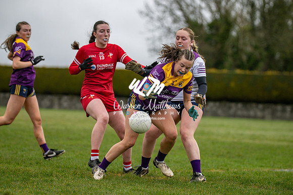 Louth v Wexford (Minor round 2) - 202503221423289100