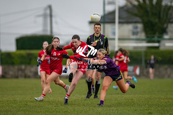 Louth v Wexford (Minor round 2) - 202503221425441800