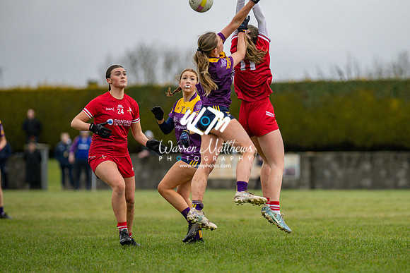 Louth v Wexford (Minor round 2) - 202503221419316700