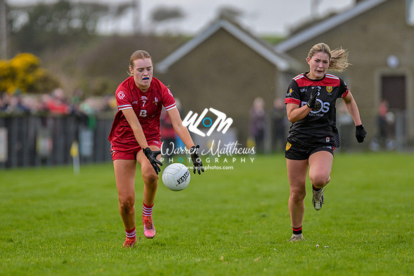20240316 - Down v Louth (NFL Div 3 Round 6) - 202403171430419100