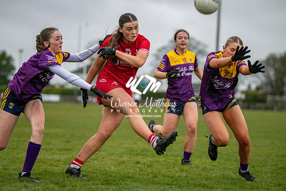 Louth v Wexford (Minor round 2) - 202503221430515400