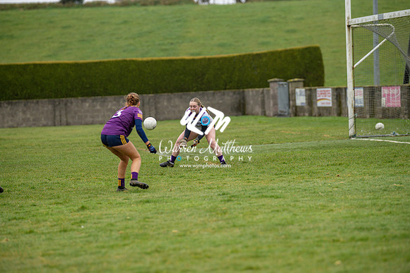 Louth v Wexford (Minor round 2) - 202503221502556000