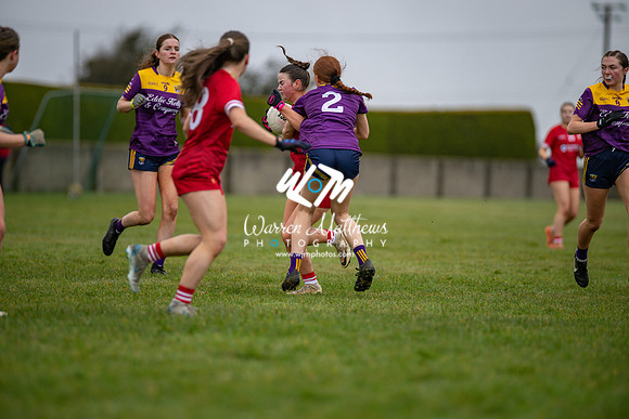 Louth v Wexford (Minor round 2) - 202503221404402400