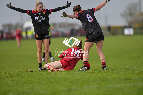 20240316 - Down v Louth (NFL Div 3 Round 6) - 202403171422190800