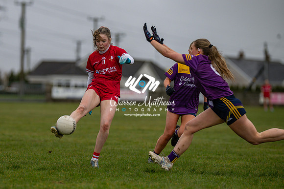 Louth v Wexford (Minor round 2) - 202503221404038200