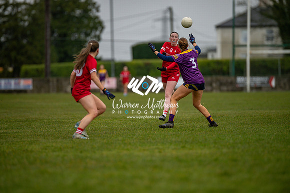 Louth v Wexford (Minor round 2) - 202503221407145700