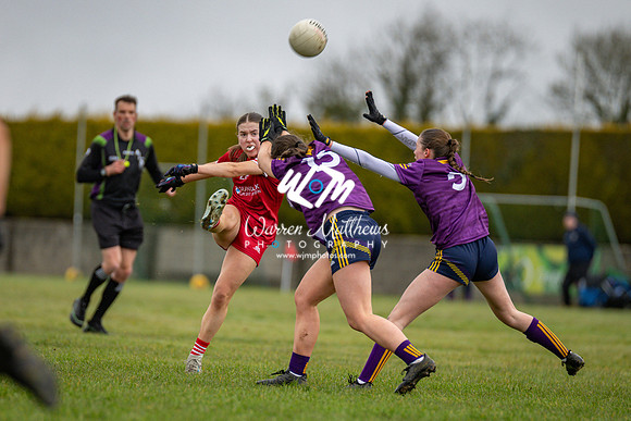 Louth v Wexford (Minor round 2) - 202503221419020400