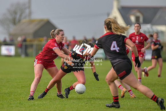20240316 - Down v Louth (NFL Div 3 Round 6) - 202403171416202600