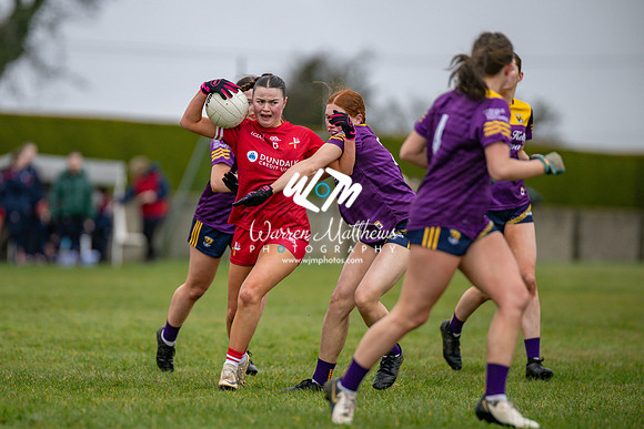 Louth v Wexford (Minor round 2) - 202503221404408400