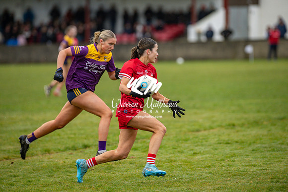 Louth v Wexford (Minor round 2) - 202503221458251600