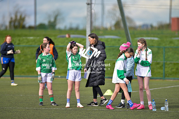 20240303 - Louth vs Clare (NFL Round 5) - 202403031442241400