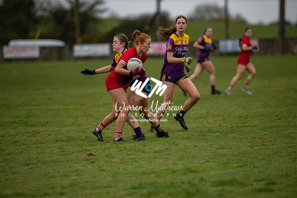 Louth v Wexford (Minor round 2) - 202503221455541300