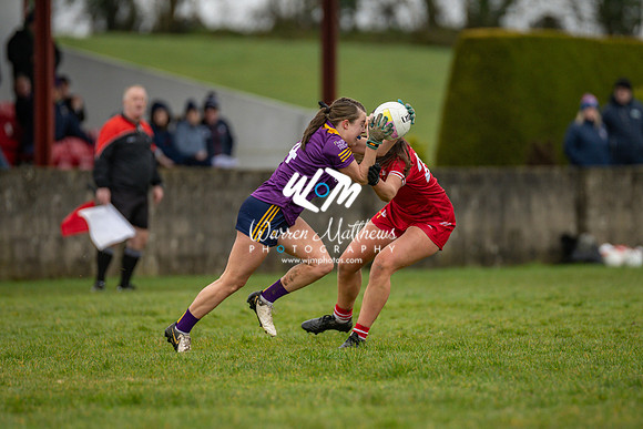 Louth v Wexford (Minor round 2) - 202503221427373700
