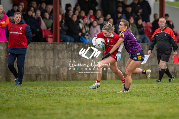 Louth v Wexford (Minor round 2) - 202503221423058400