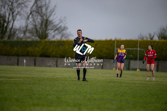 Louth v Wexford (Minor round 2) - 202503221405219400