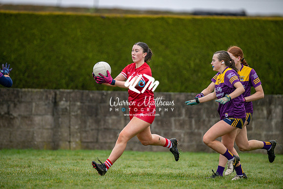 Louth v Wexford (Minor round 2) - 202503221402261600