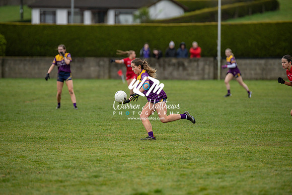 Louth v Wexford (Minor round 2) - 202503221454271100