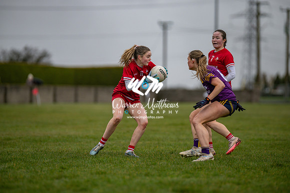 Louth v Wexford (Minor round 2) - 202503221403426000
