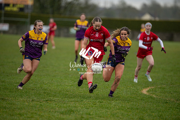 Louth v Wexford (Minor round 2) - 202503221521165600